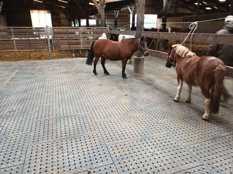 Equestrian mat in a barn been used by animals